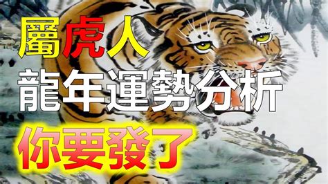 生肖虎幸運色|2024屬虎幾歲、2024屬虎運勢、屬虎幸運色